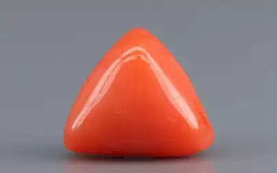 Red Coral (Moonga) - 3.11 Carats