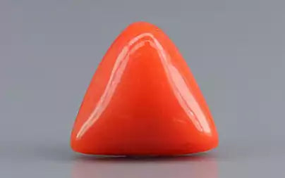 Red Coral (Moonga) - 3.27 Carats