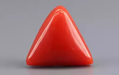 Red Coral (Moonga) - 6.77 Carats