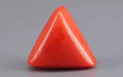 Red Coral (Moonga) - 5.39 Carats