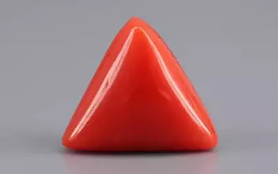 Red Coral (Moonga) - 6.39 Carats