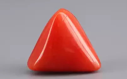 Red Coral (Moonga) - 6.75 Carats