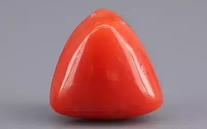 Red Coral (Moonga) - 6.95 Carats