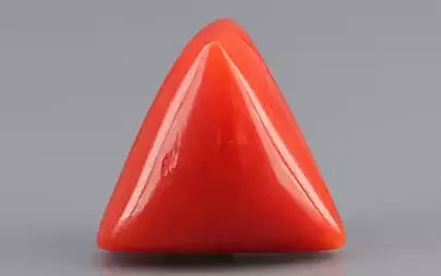 Red Coral (Moonga) - 7.94 Carats