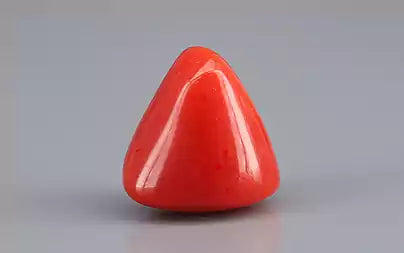 Red Coral (Moonga) - 6.04 Carats