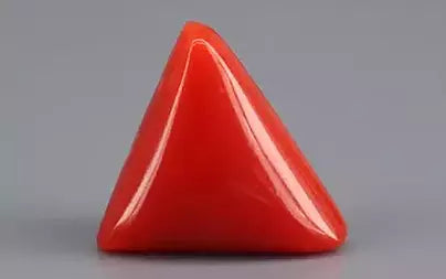 Red Coral (Moonga) - 5.04 Carats