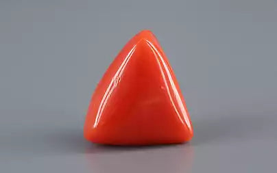 Red Coral (Moonga) - 13.12 Carats