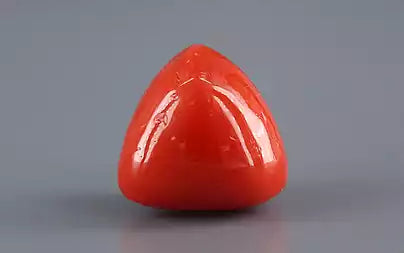 Red Coral - 16.12 Carats (Moonga - 17.57 Ratti)