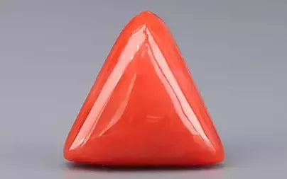 Red Coral (Moonga) - 5.32 Carats