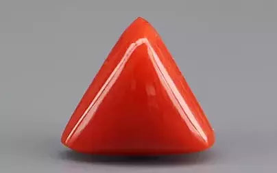 Red Coral (Moonga) - 4.67 Carats