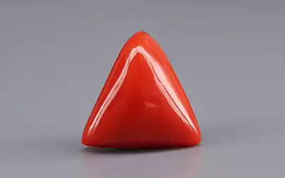Red Coral (Moonga) - 5.50 Carats