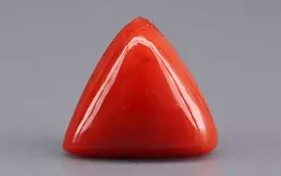 Red Coral (Moonga) - 5.19 Carats