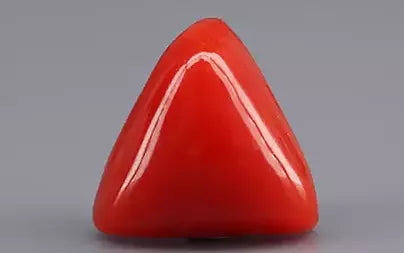 Red Coral (Moonga) - 5.95 Carats