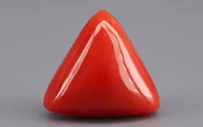 Red Coral (Moonga) - 6.17 Carats