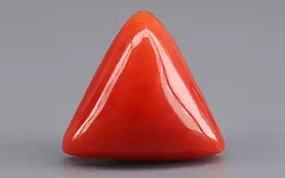 Red Coral (Moonga) - 6.14 Carats