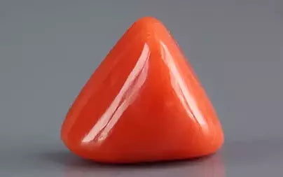 Red Coral (Moonga) - 7.75 Carats