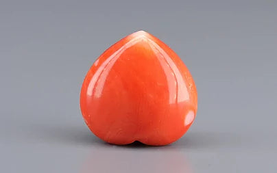 Red Coral - 13.31 Carats (Moonga - 14.51 Ratti)