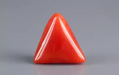 Red Coral (Moonga) - 7.52 Carats