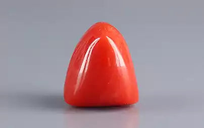 Red Coral - 9.31 Carats (Moonga - 10.15 Ratti)