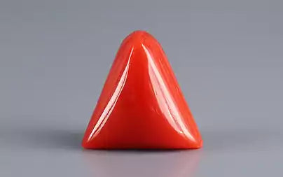 Red Coral (Moonga) - 6.58 Carats