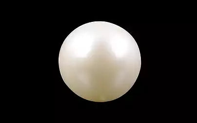 South Sea Pearl - 3.87 Carats (Moti - 4.22 Ratti)