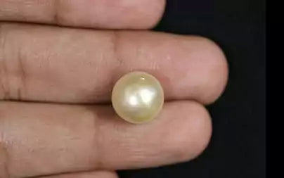 South Sea Pearl - 8.28 Carats (Moti - 9.03 Ratti)