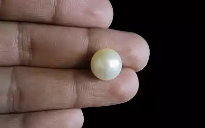 South Sea Pearl - 10.09 Carats (Moti - 11.00 Ratti)
