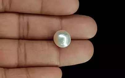 South Sea Pearl (Moti) - 8.98 Carats