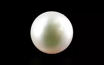 South Sea Pearl - 4.37 Carats (Moti - 4.76 Ratti)