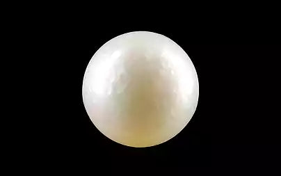 South Sea Pearl - 4.52 Carats (Moti - 4.93 Ratti)