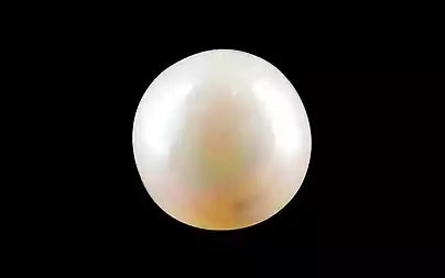 South Sea Pearl (Moti) - 3.59 Carats
