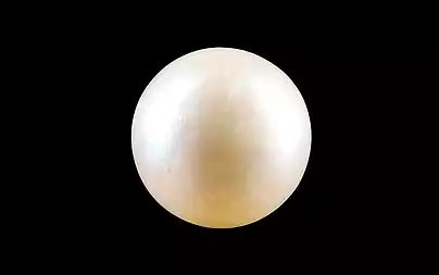 South Sea Pearl (Moti) - 3.83 Carats