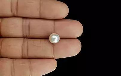 South Sea Pearl (Moti) - 4.54 Carats