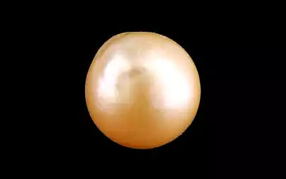 South Sea Pearl - 5.50 Carats (Moti - 6.00 Ratti)