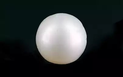 South Sea Pearl (Moti) - 6.35 Carats