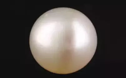 South Sea Pearl - 7.25 Carats (Moti - 7.90 Ratti)