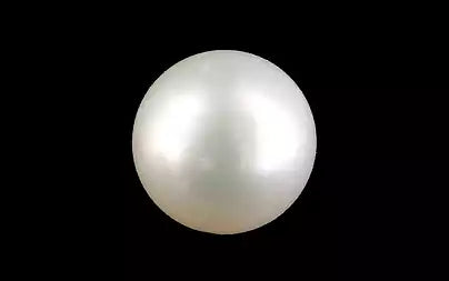 South Sea Pearl (Moti) - 6.97 Carats