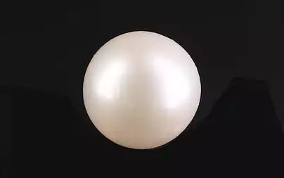 South Sea Pearl (Moti) - 7.48 Carats