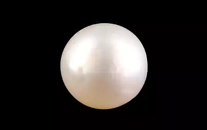 South Sea Pearl (Moti) - 6.47 Carats