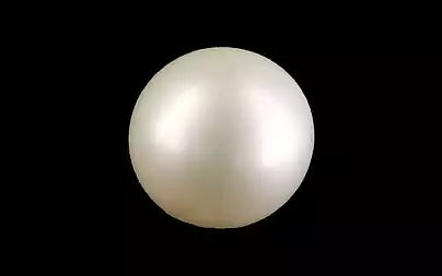 South Sea Pearl (Moti) - 6.41 Carats