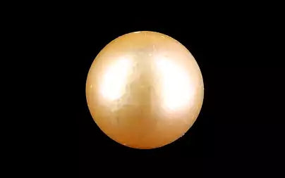 South Sea Pearl - 6.75 Carats (Moti - 7.36 Ratti)
