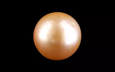 South Sea Pearl - 11.58 Carats (Moti - 12.62 Ratti)