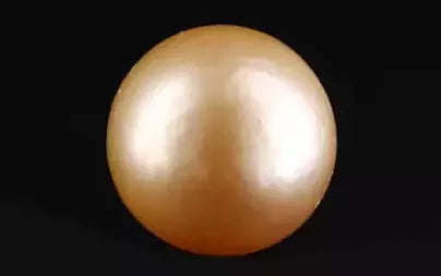 South Sea Pearl - 11.96 Carats (Moti - 13.04 Ratti)