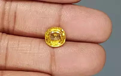 Yellow Sapphire (Pukhraj) - 3.60 Carats