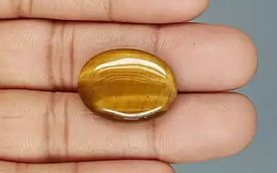 Tiger Eye - 20.23 Carats