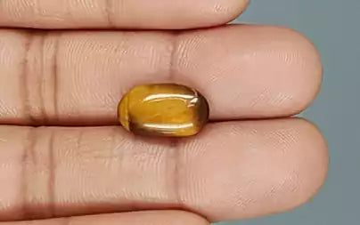 Tiger Eye - 4.91 Carats