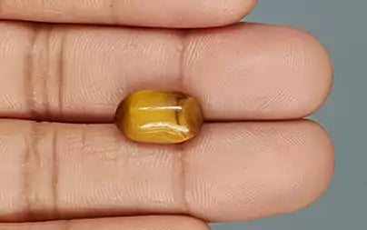 Tiger Eye - 5.33 Carats