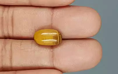 Tiger Eye - 4.82 Carats