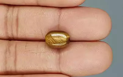 Tiger Eye - 4.56 Carats