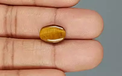 Tiger Eye - 4.10 Carats